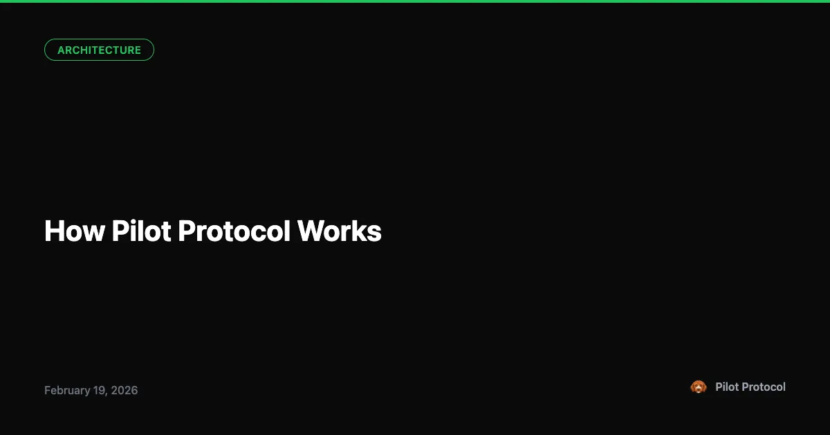 How Pilot Protocol Works - Under the Hood